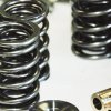 VS900-32 DUAL VALVE SPRING 1.250" DURAMAX